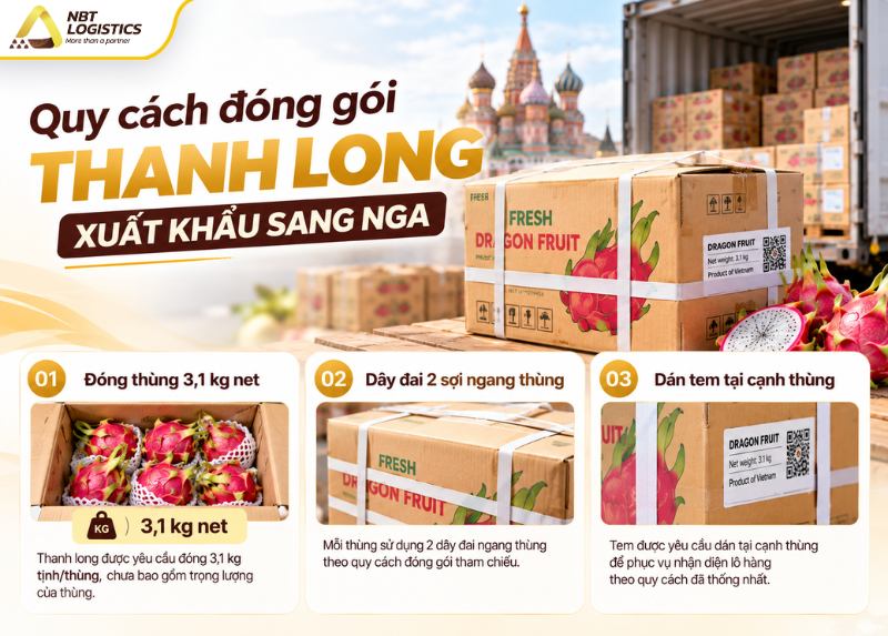 tieu-chuan-thanh-long-xuat-khau-sang-nga-4