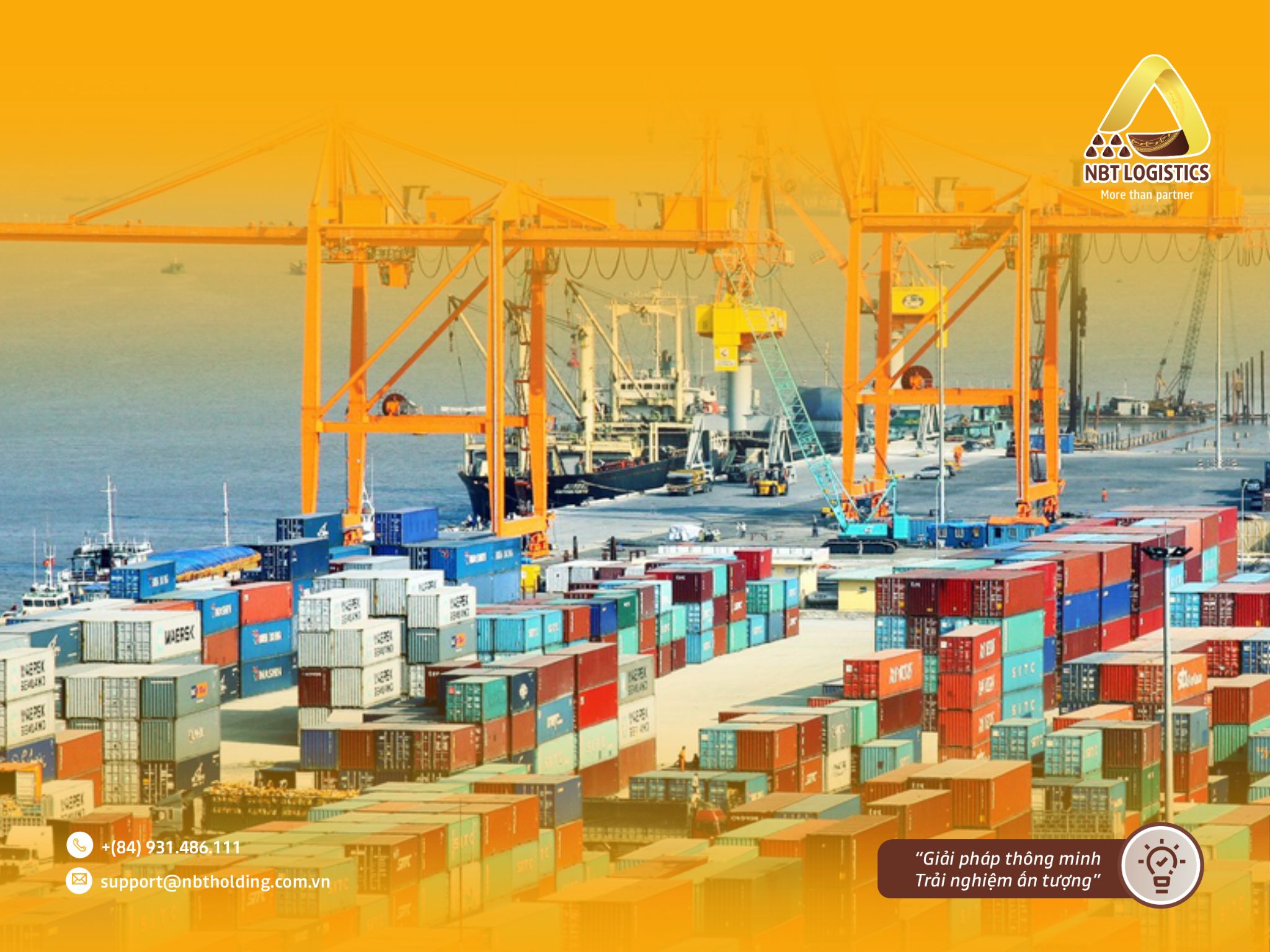 nh bài viết - 2024-06-14T103349.939